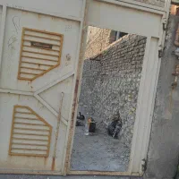 درب ماشین رو