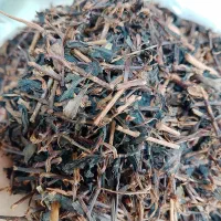 چای چوب اعلا