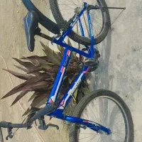 دوچرخه 24 نو نو