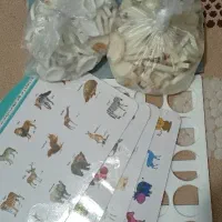 هوش چین