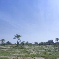 نیرو کشاورزی