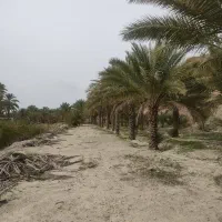 باغ در خاییز روستای گشی