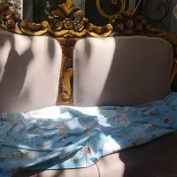 مبل سلطنتی درحدنو۹نفره