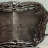دوعدد سینی درحدنو