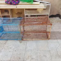 قفس بزرگ