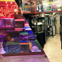 نیازمند فروشنده نیرو شاگرد
