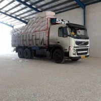 کاه گندم دیم