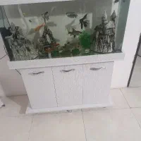 اکواریوم