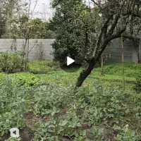 خانه تلاری  زیبا ودلنشبن