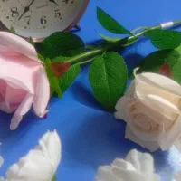گل رز|گل مصنوعی|قم, مسکن مهر|دیوار