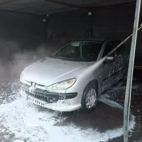 استخدام نیروی کارواش