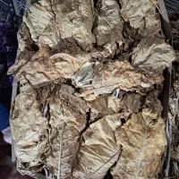 برگ زرد شیرین