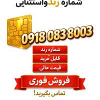 شماره رند