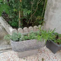 گلدان سنگی