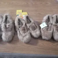 کفش مجلسی