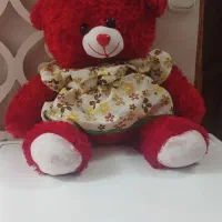 خرس قرمز پشمالو