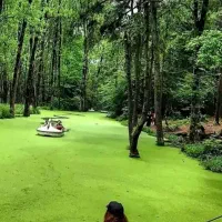 سفر به قلعه رود خان و ساحل گیسوم و جنگل گیسوم