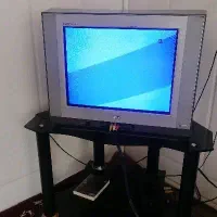 تلویزیون