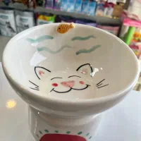 ظروف سرامیکی