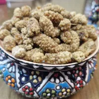 توت سفید خشک