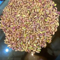 پسته تناژ