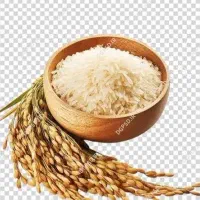 برنج شمال