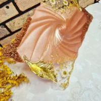 سینی رزینی