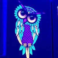 تابلو بلک لایت طرح جغد Blacklight|تابلو، نقاشی، عکس|تهران, ستارخان|دیوار