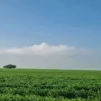 اجاره ۱۰۰هکتار زمین کشاورزی آبی