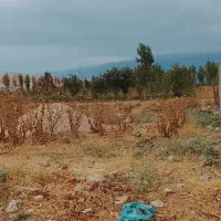 زمین فروشی