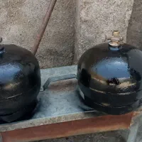 پیک نیک