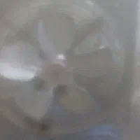 موتور کولر