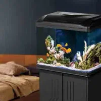 انواع آکواریوم شرکتی دلسا به قیمت کارخانه