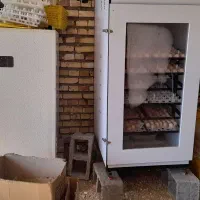 دستگاه جوجه کشی هدایت