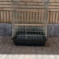 قفس بزرگ