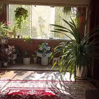 دوخواب-بر-بلوار-غدیر
