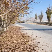 باغ