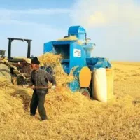 کاه گندم خرمنکوب