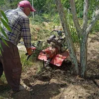 باغبانی ،سمپاشی،تیلرزنی،هرسکاری با اره متوری