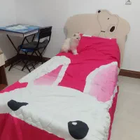 تخت و کمد کودک