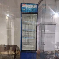 یخچال ایستاده ویترینی تکنوسان