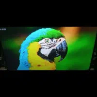 ال ای دوو 50 اینچ هوشمند فورکی