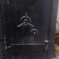 گاو صندوق خانگی
