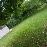 ویلا دربست.درفضای بسیار امن وسرسبز.مخصوص خانواده
