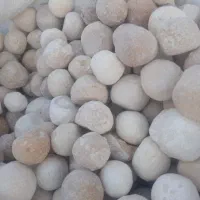 کشک محلی گوسفندی
