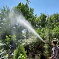 خدمات باغبانی و سمپاشی آبسرد گیلاوند مشاء