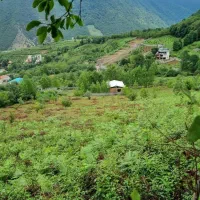 زمین-280متری-ییلاقی-سنددار-انشعابات-اقساطی