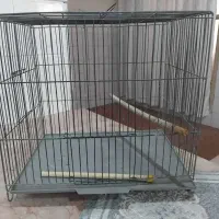 قفس قناری