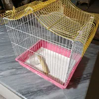 قفس پرنده در حدنو
