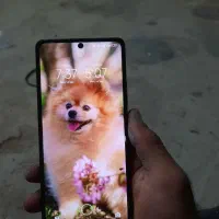 پوکو m6 pro